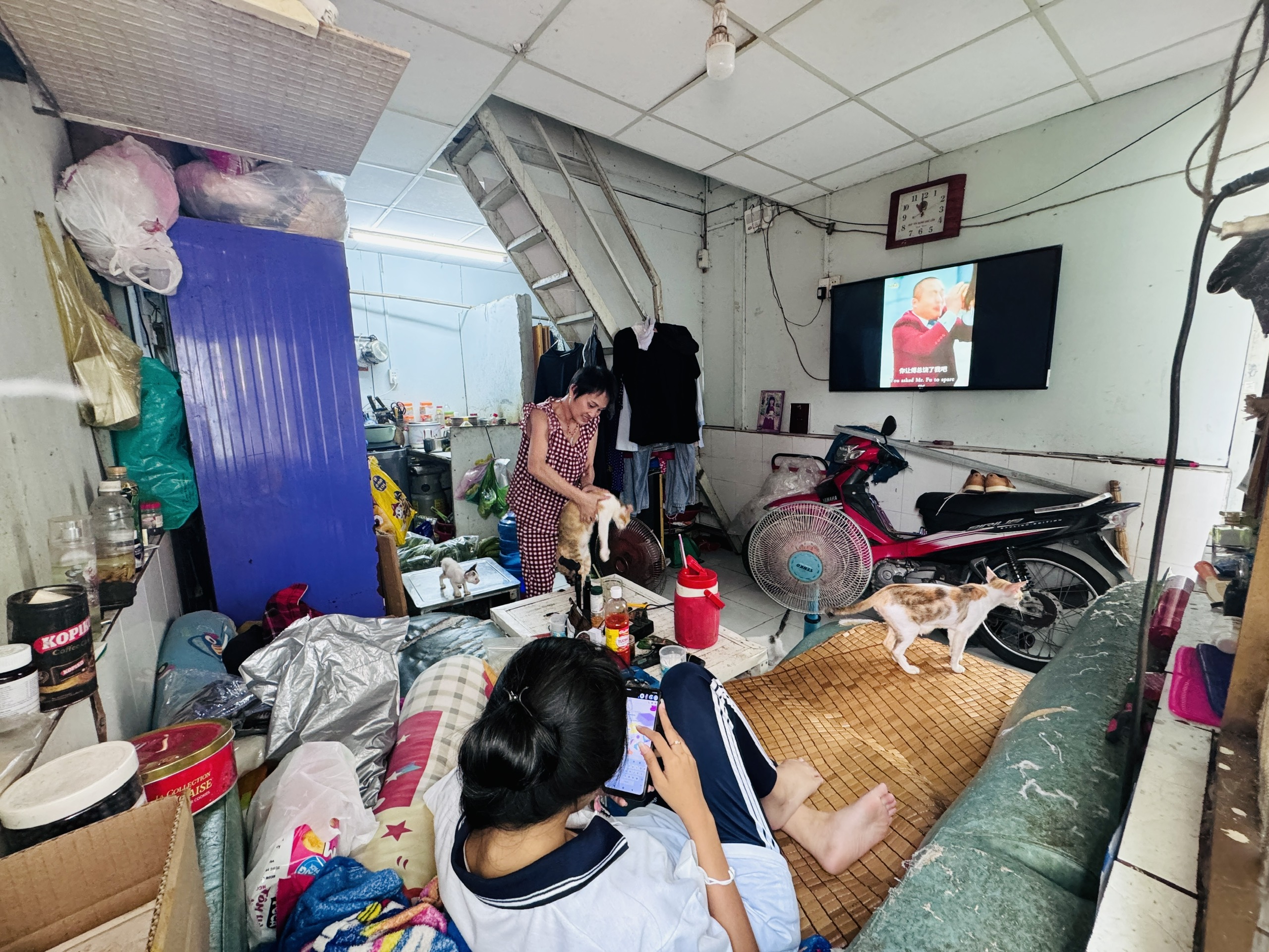Thứ trưởng Nguyễn Văn Sinh đánh giá cao nỗ lực của TP.HCM trong phát triển nhà ở xã hội - Ảnh 3.