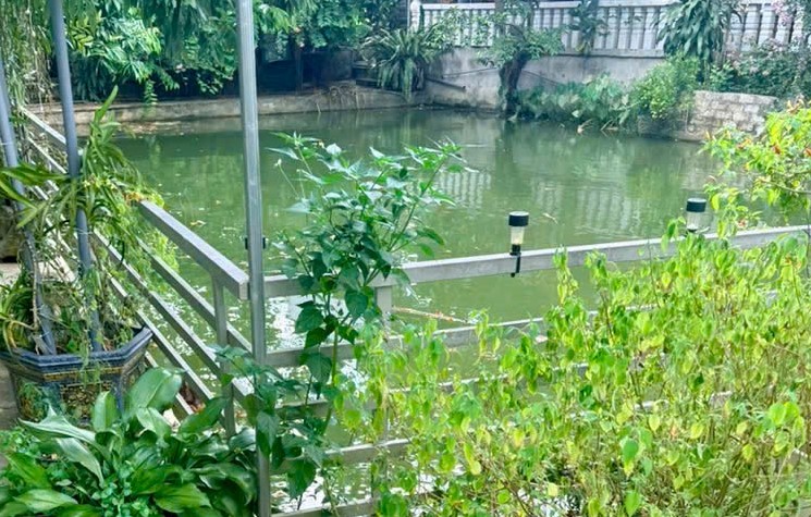 Nghệ An: Hai anh em ruột tử vong thương t&acirc;m dưới ao nước gần nh&agrave;   - Ảnh 1.