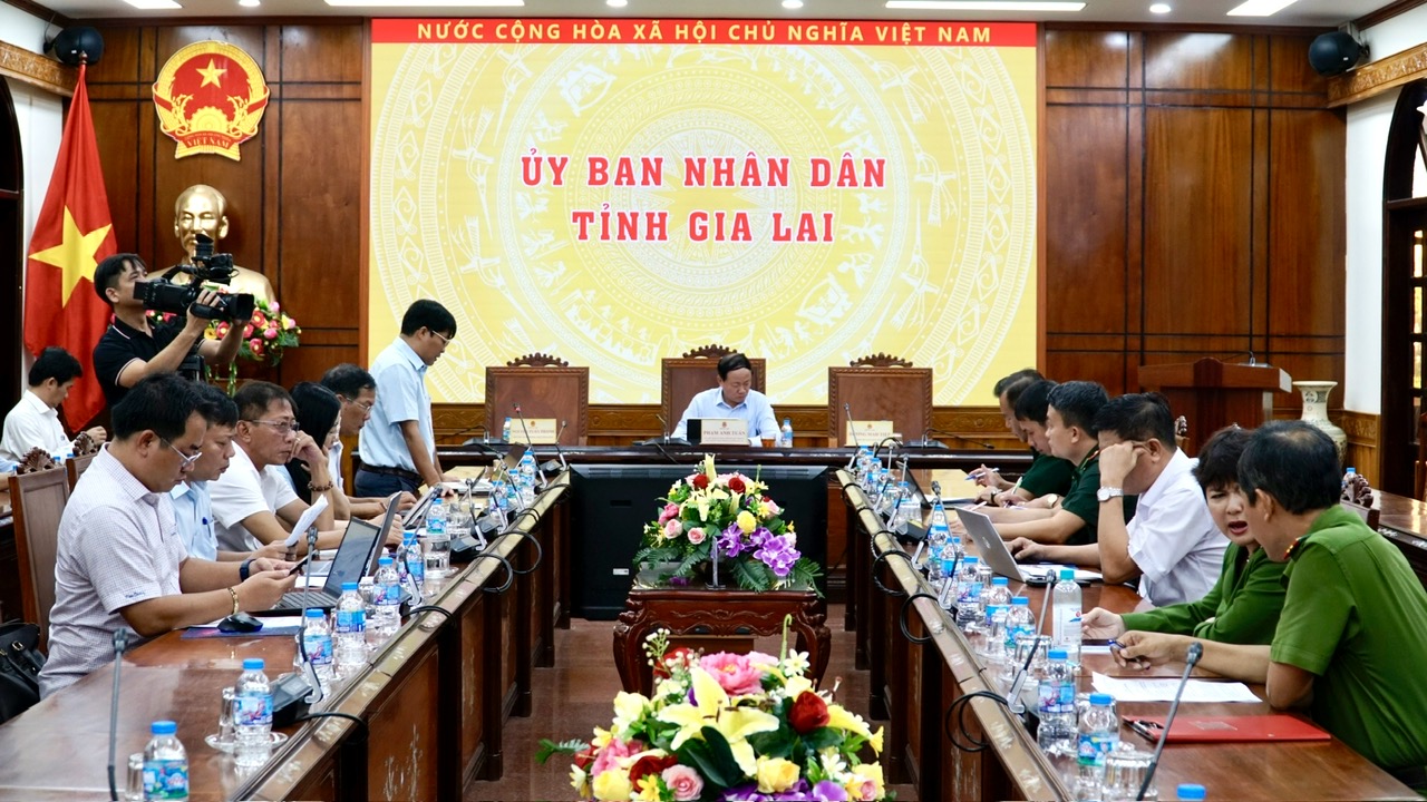 Chủ tịch UBND tỉnh Gia Lai chỉ đạo khẩn sau vụ ch&aacute;y thi&ecirc;u rụi h&agrave;ng loạt t&agrave;u c&aacute; - Ảnh 1.