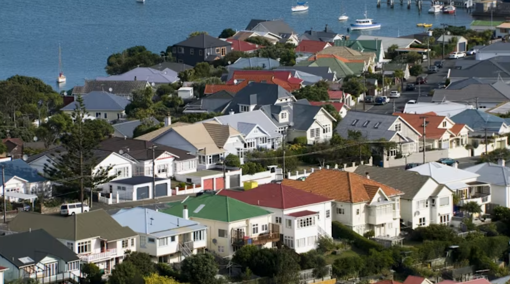 Thủ đ&ocirc; New Zealand ngập nước thải sau một đ&ecirc;m mưa b&atilde;o- Ảnh 1.