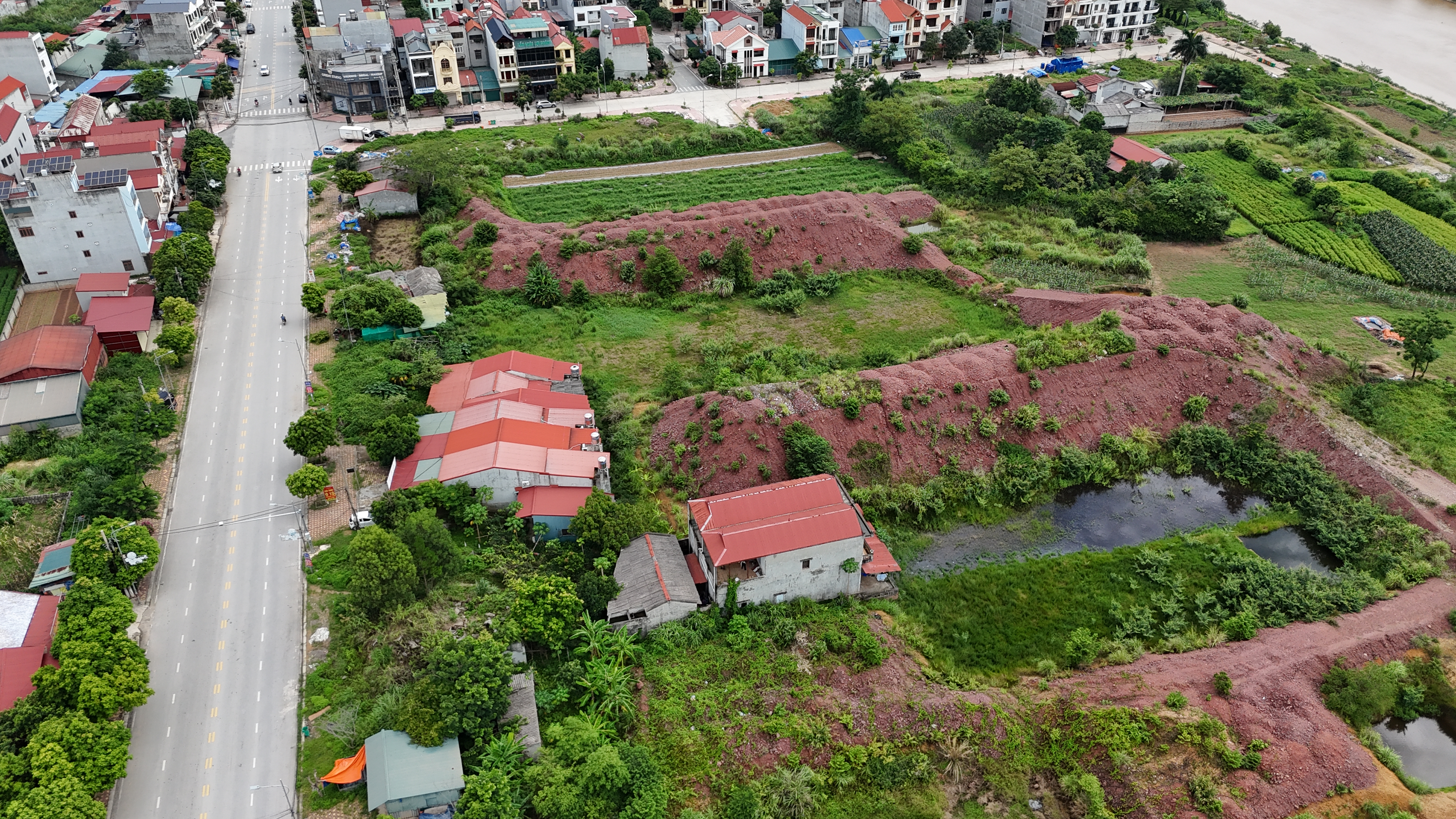  - Ảnh 7.