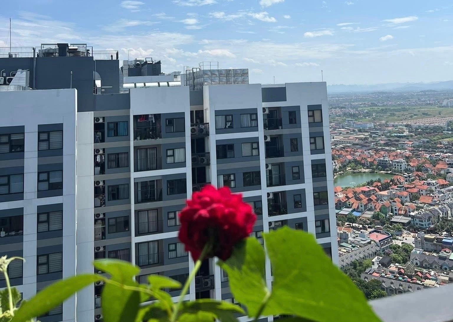Chất lượng xây dựng căn hộ áp mái: Lựa chọn thông minh cho cuộc sống hiện đại - Ảnh 1.