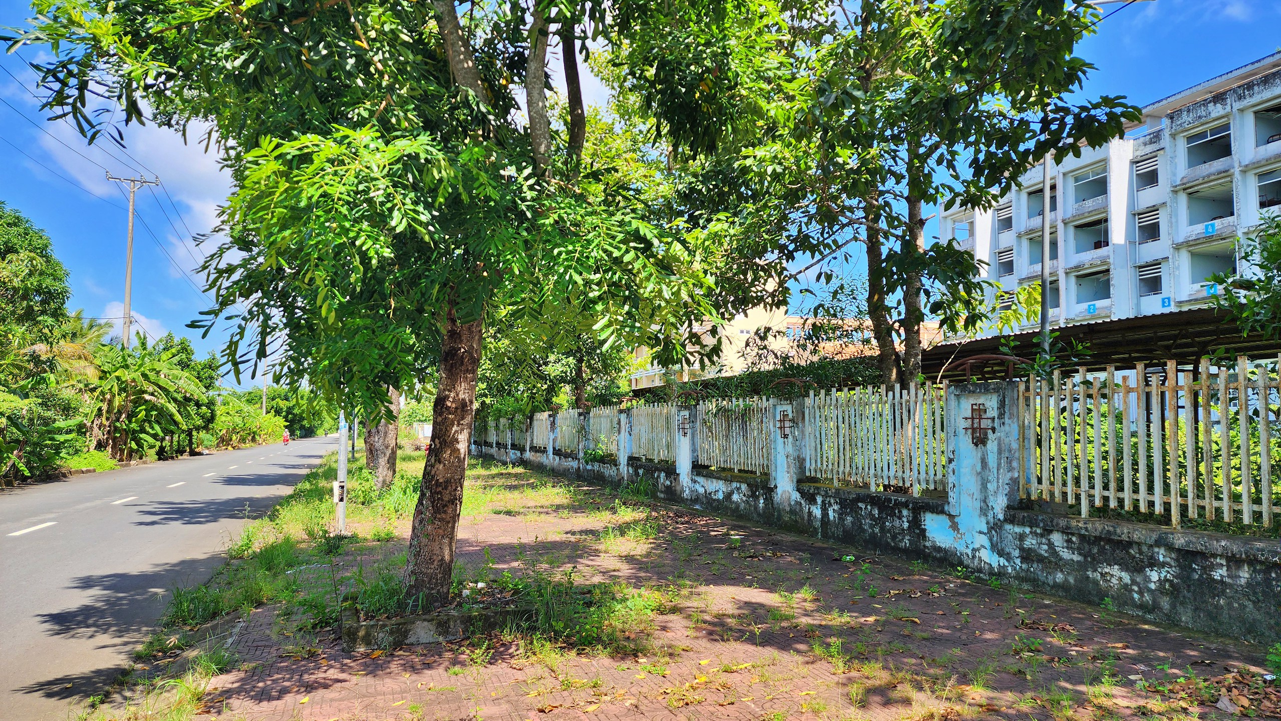 Bàn giao Khu nhà ở sinh viên Bạc Liêu cho Trường Đại học Bạc Liêu quản lý, sử dụng - Ảnh 16.