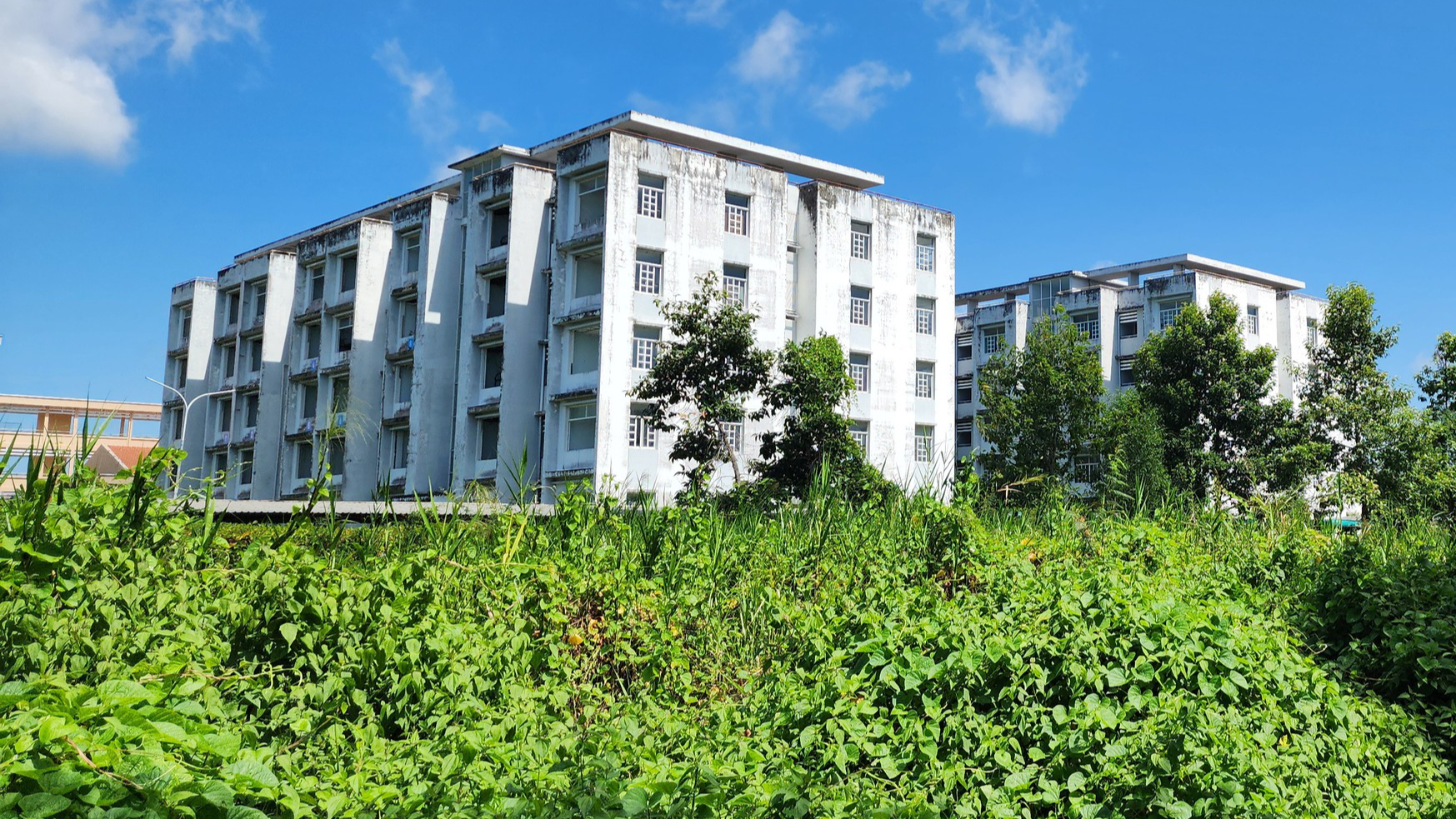 Bàn giao Khu nhà ở sinh viên Bạc Liêu cho Trường Đại học Bạc Liêu quản lý, sử dụng - Ảnh 12.