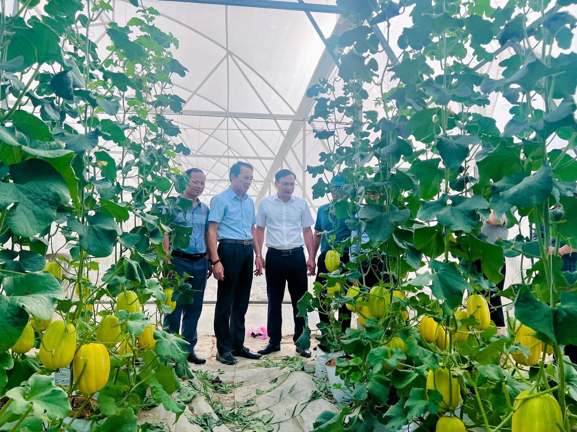 H&agrave; Tĩnh: Li&ecirc;n kết &ldquo;4 nh&agrave;&rdquo; động lực đổi mới, s&aacute;ng tạo - Ảnh 2.