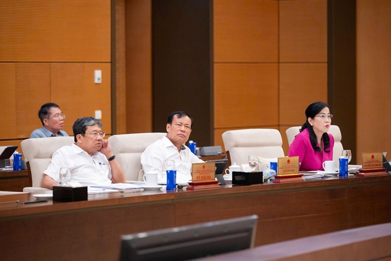 Ủy ban Thường vụ Quốc hội cho &yacute; kiến về th&iacute; điểm cơ chế, ch&iacute;nh s&aacute;ch đặc th&ugrave; x&acirc;y dựng khu đ&ocirc; thị lấn biển tại Đ&agrave; Nẵng - Ảnh 5.