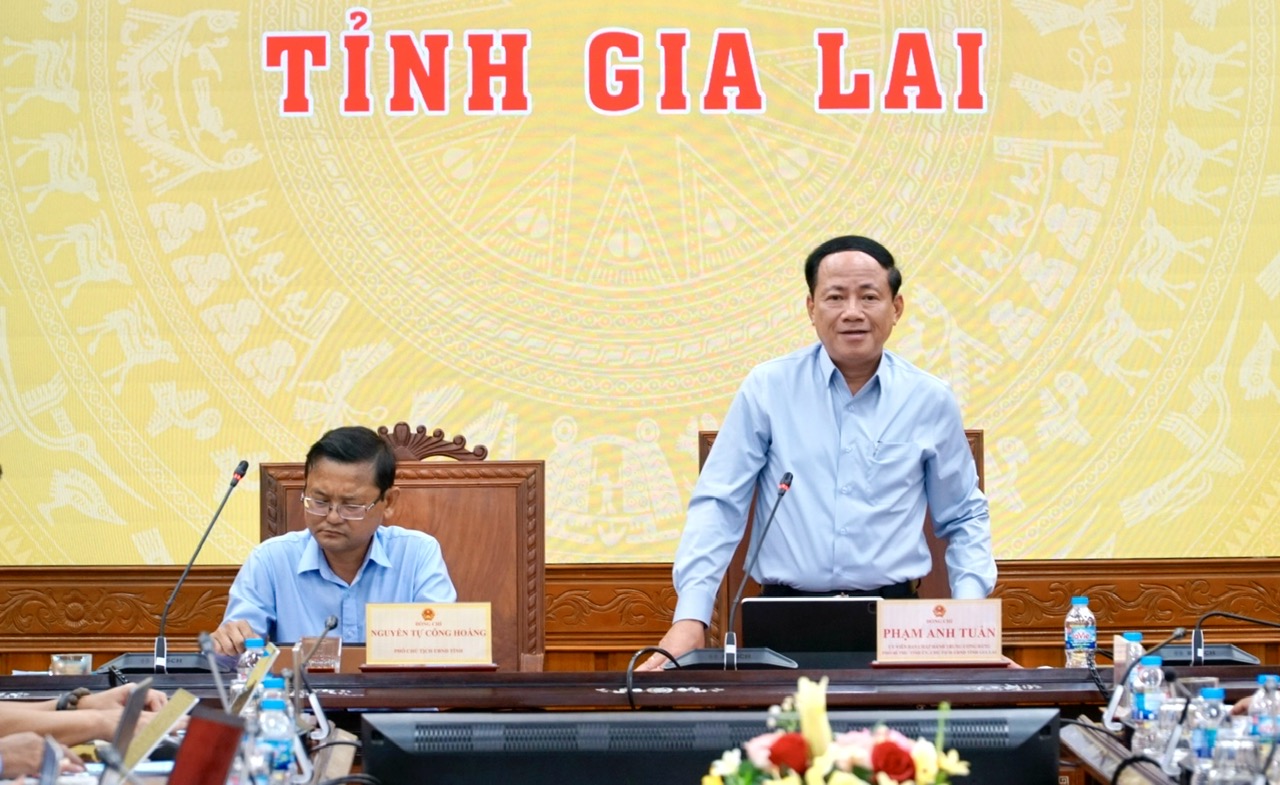 Gia Lai: C&oacute; thể đ&igrave;nh chỉ doanh nghiệp vận tải vi phạm để chấn chỉnh văn h&oacute;a giao th&ocirc;ng - Ảnh 3.