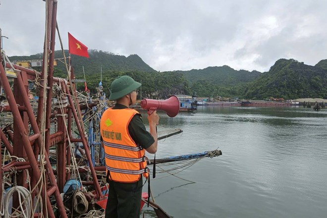 Hải Ph&ograve;ng k&iacute;ch hoạt phương &aacute;n bảo đảm an to&agrave;n t&agrave;u thuyền trước b&atilde;o số 1 - Ảnh 1.