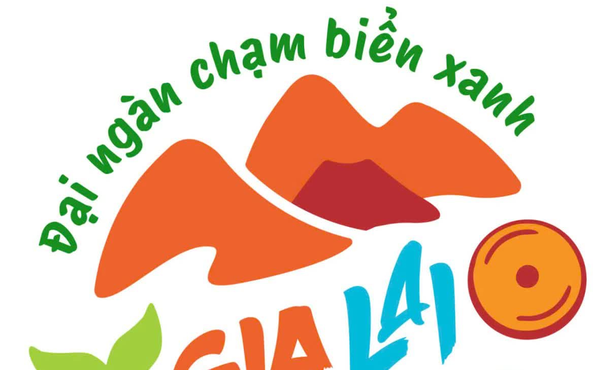 Gia Lai: Siết chặt quản lý tàu cá không đủ điều kiện, gắn trách nhiệm người đứng đầu - Ảnh 3.