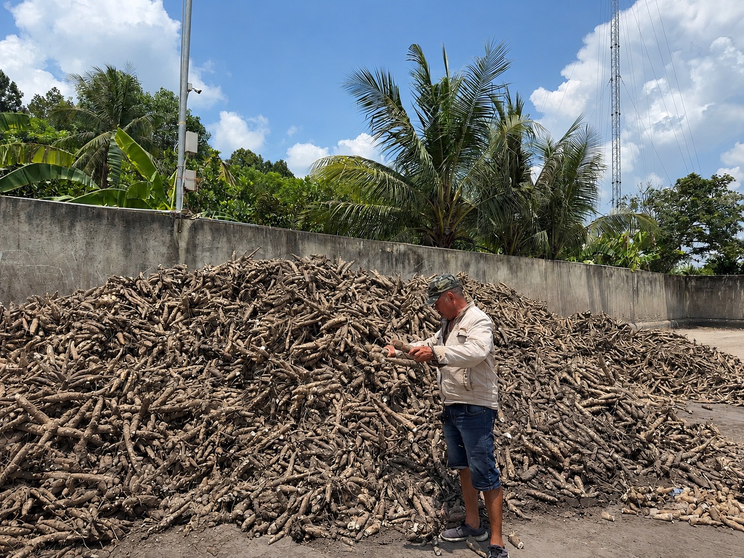 B&agrave;i 3: Sắn nhiều, nguy&ecirc;n liệu cho ethanol vẫn chưa chắc đủ  - Ảnh 2.