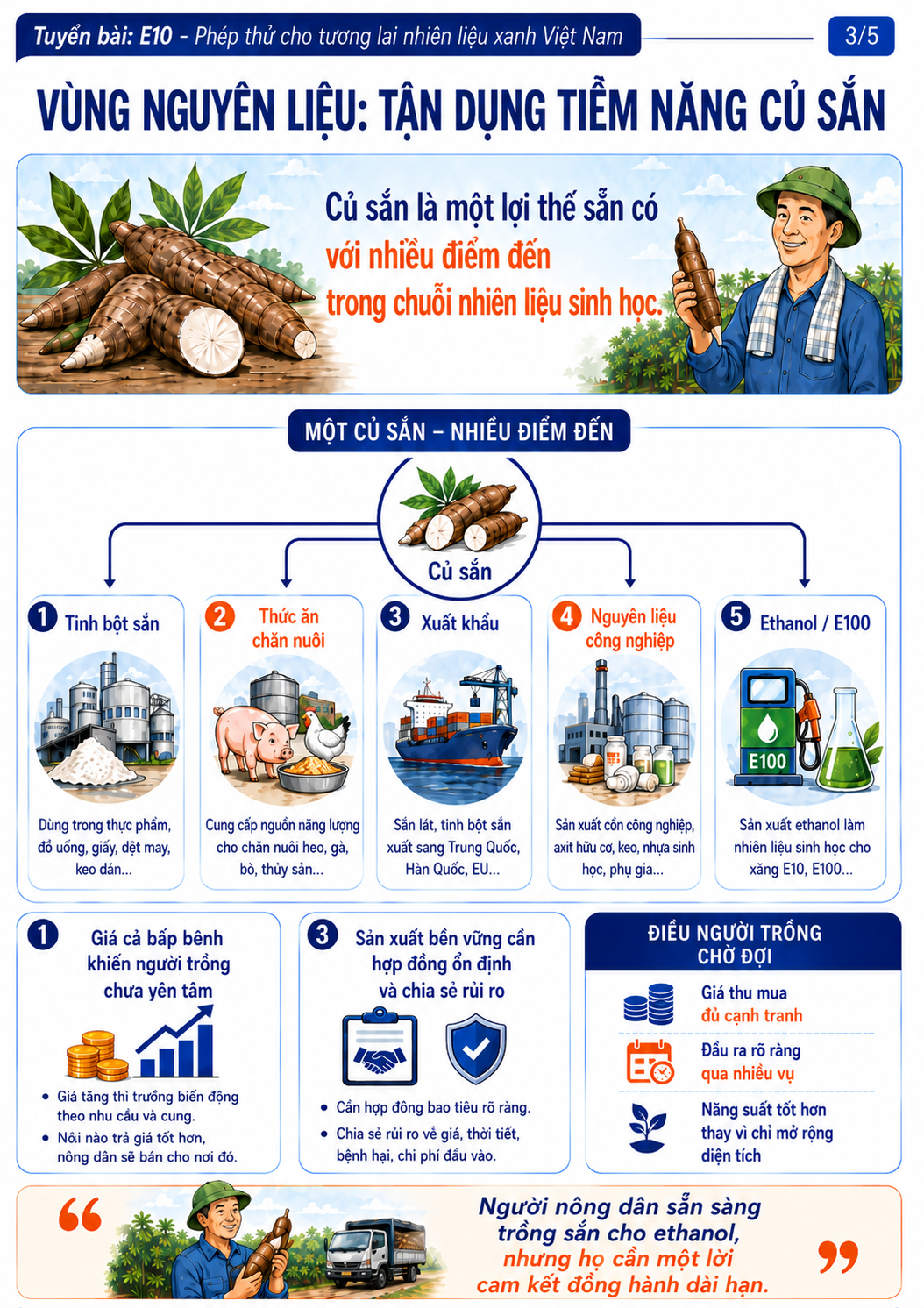 B&agrave;i 3: Sắn nhiều, nguy&ecirc;n liệu cho ethanol vẫn chưa chắc đủ  - Ảnh 4.