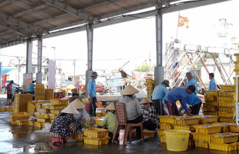 Cần Thơ xin cơ chế cho tổ hợp lấn biển 390.000 tỷ đồng - Ảnh 2.