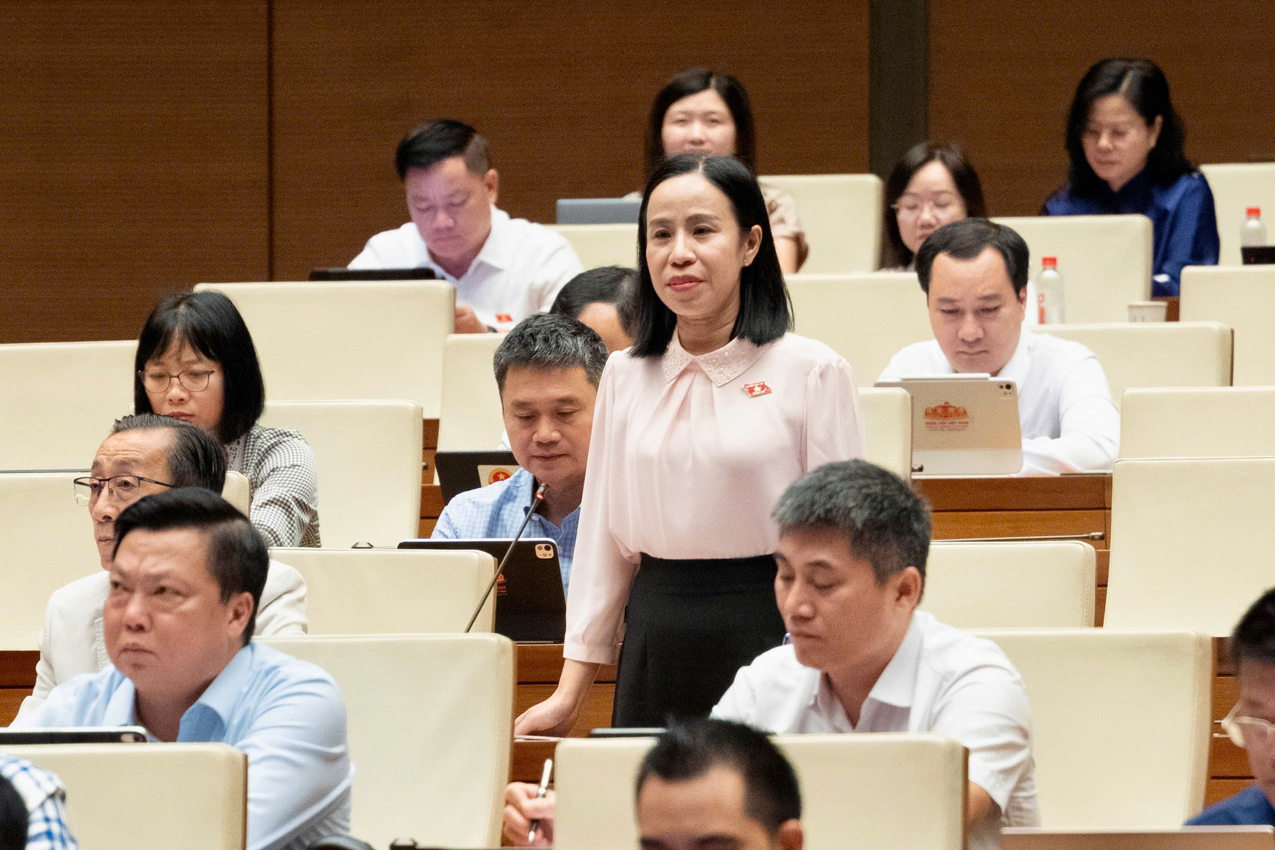 Đề xuất đổi mới c&aacute;ch lựa chọn h&ograve;a giải vi&ecirc;n, bảo đảm ph&ugrave; hợp từng địa b&agrave;n - Ảnh 3.