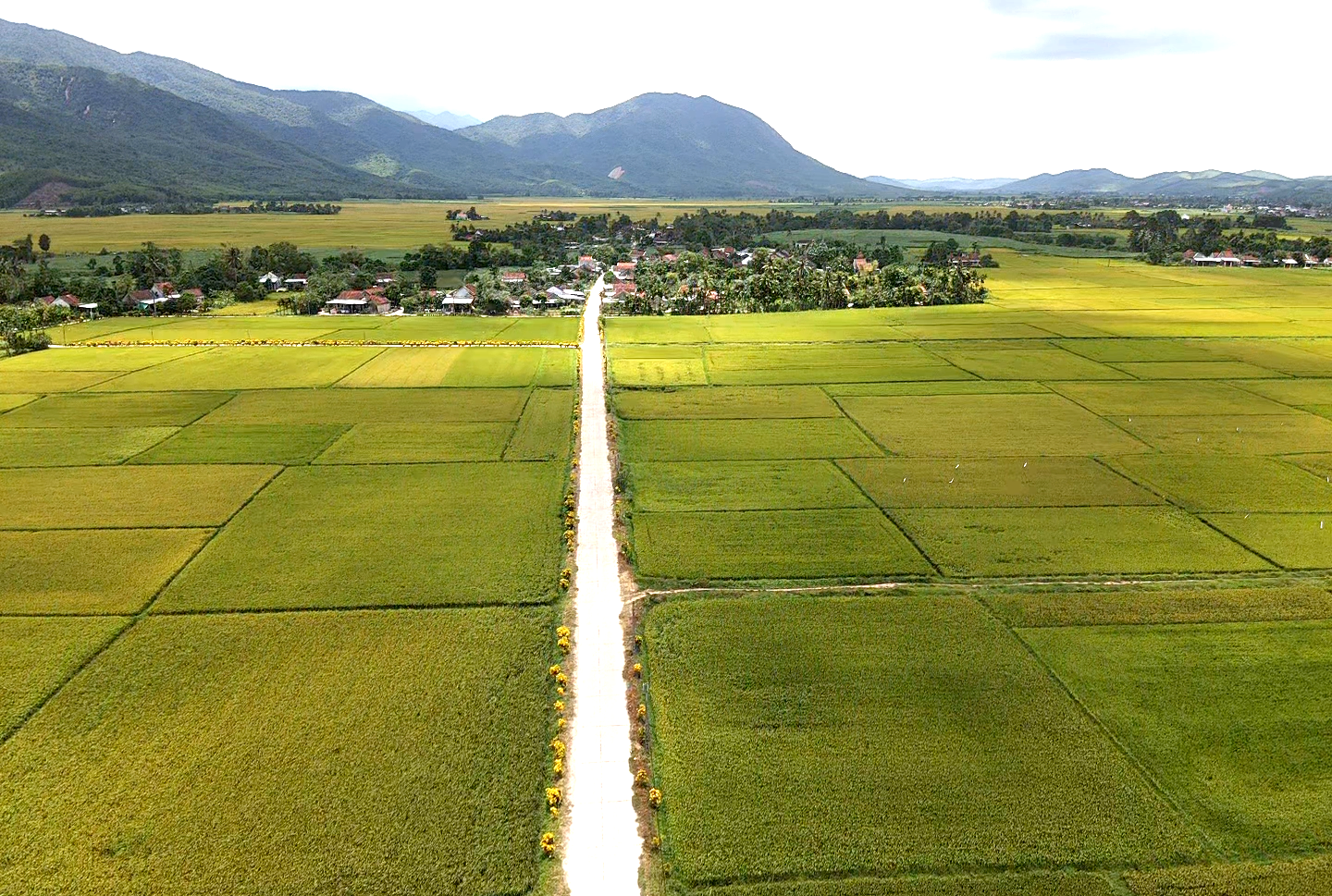 Đắk Lắk dựng 100 “điểm tựa” an toàn cho người dân vùng lũ - Ảnh 17.