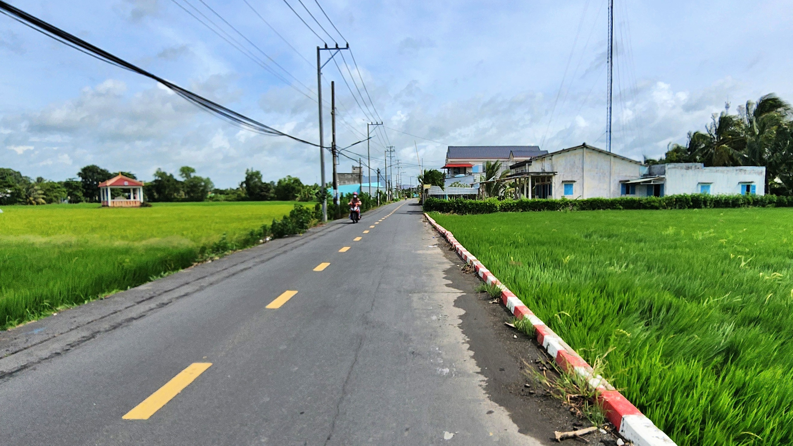 Xây dựng nông thôn mới: Cà Mau ưu tiên hạ tầng giao thông và thích ứng biến đổi khí hậu - Ảnh 1.