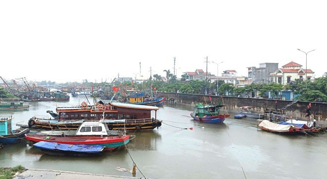 Hải Ph&ograve;ng: Hơn 1.600 t&agrave;u thuyền đ&atilde; neo đậu an to&agrave;n trước b&atilde;o số 4 - Ảnh 3.