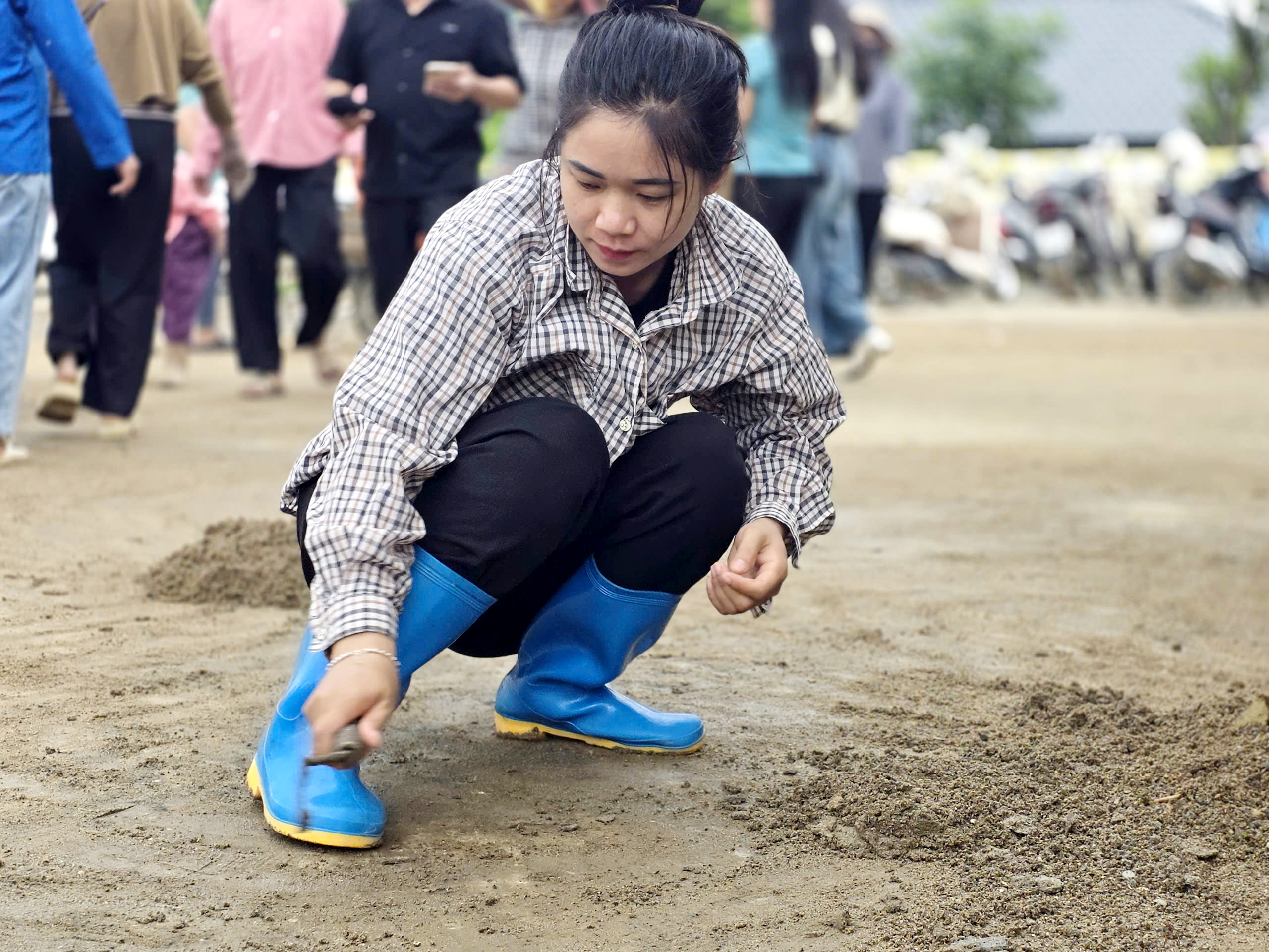  - Ảnh 5.