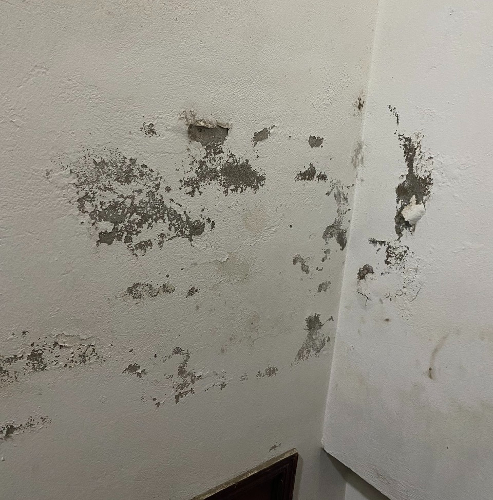 Sơn tường bị phồng rộp, bong tr&oacute;c: Đừng vội sơn đ&egrave; l&ecirc;n lớp cũ - Ảnh 1.