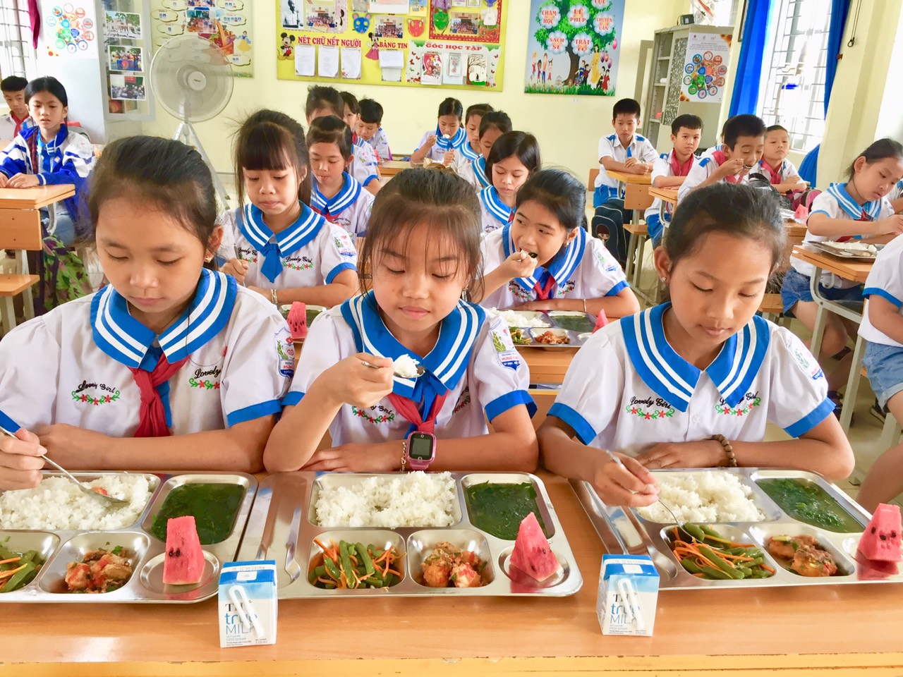 Sữa tươi có vai trò quan trọng với độ tuổi học đường - Ảnh 2.