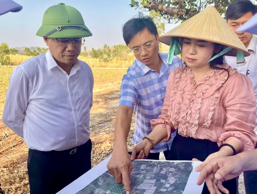 Gia Lai sắp xây dựng tổ hợp chăn nuôi công nghệ cao hơn 3.600 tỷ đồng - Ảnh 2.