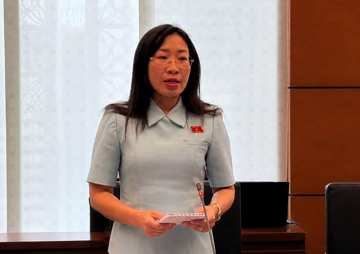 ĐBQH đề nghị ho&agrave;n thiện cơ chế ph&acirc;n quyền, kiểm so&aacute;t quyền lực trong ph&aacute;t triển đ&ocirc; thị - Ảnh 1.