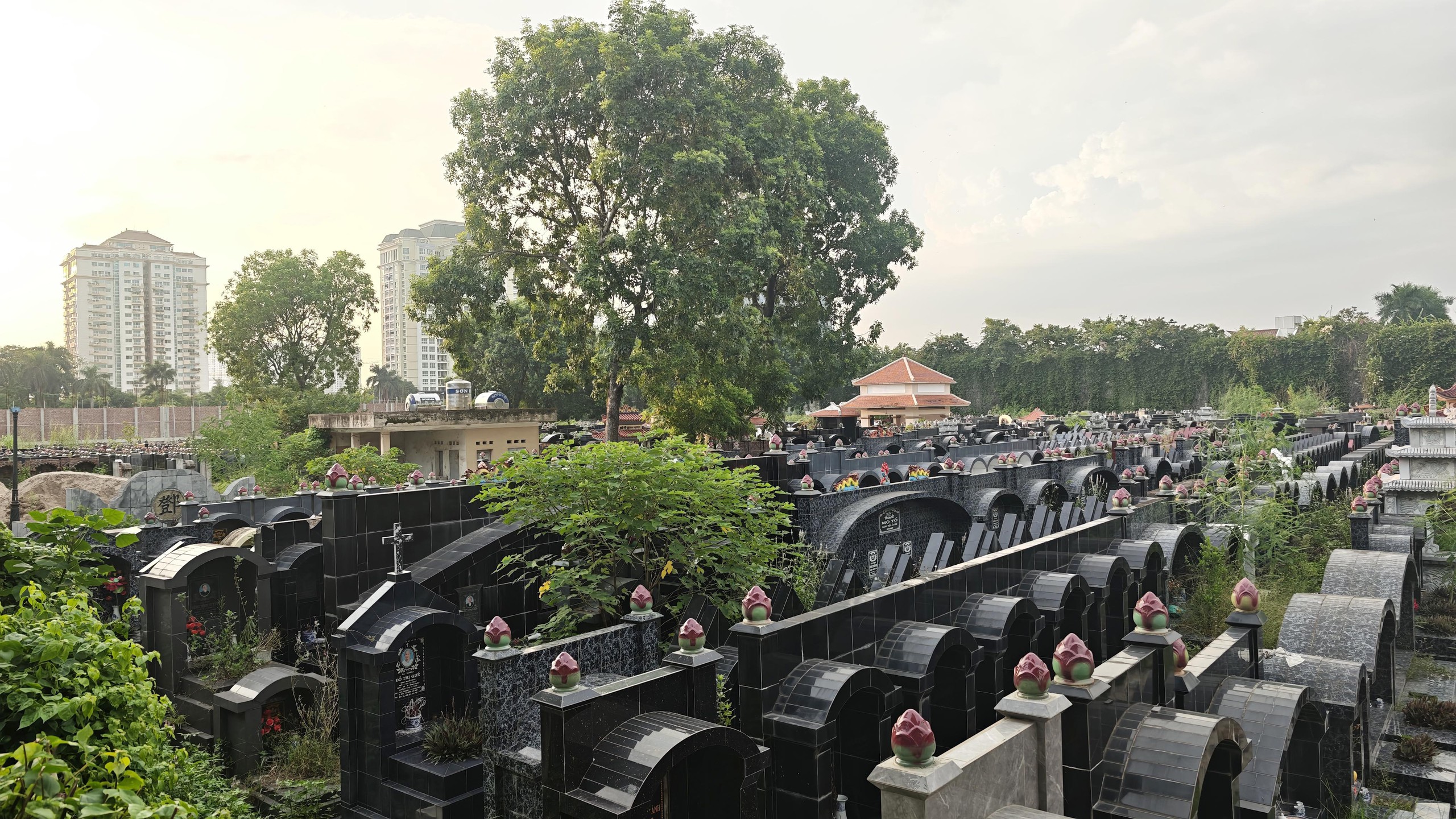 Đừng để nghĩa trang l&agrave;ng bị bỏ lại ph&iacute;a sau đ&ocirc; thị h&oacute;a - Ảnh 5.