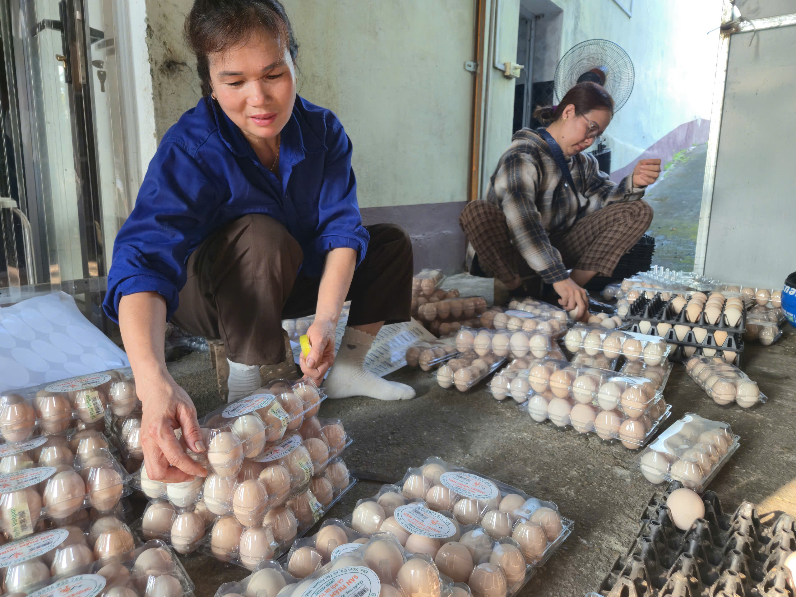 Th&aacute;i Nguy&ecirc;n kiến tạo n&ocirc;ng th&ocirc;n mới đ&aacute;ng sống, hiện đại v&agrave; bền vững- Ảnh 6.