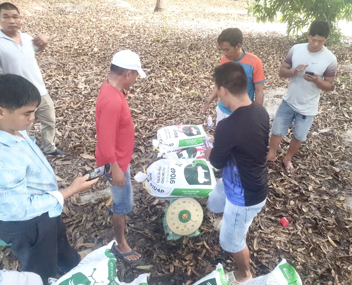 Phát hiện, xử lý bãi tập kết cát trắng lậu với số lượng "khủng" tại Khánh Hòa- Ảnh 2.