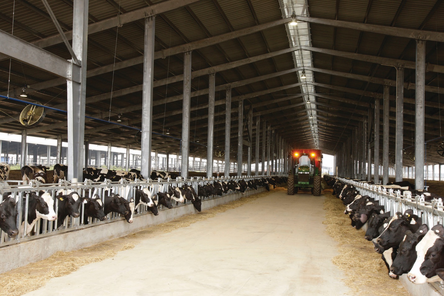 Quản trị sức khỏe đ&agrave;n b&ograve; g&oacute;p phần th&uacute;c đẩy chăn nu&ocirc;i ph&aacute;t thải thấp tại TH- Ảnh 2.