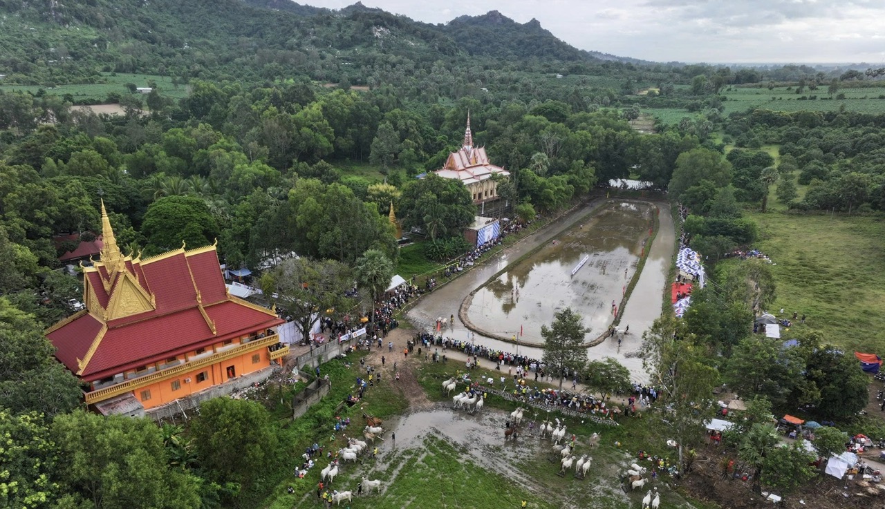 32 đ&ocirc;i b&ograve; tranh t&agrave;i tại Hội đua b&ograve; truyền thống ch&ugrave;a R&ocirc; ở An Giang- Ảnh 5.