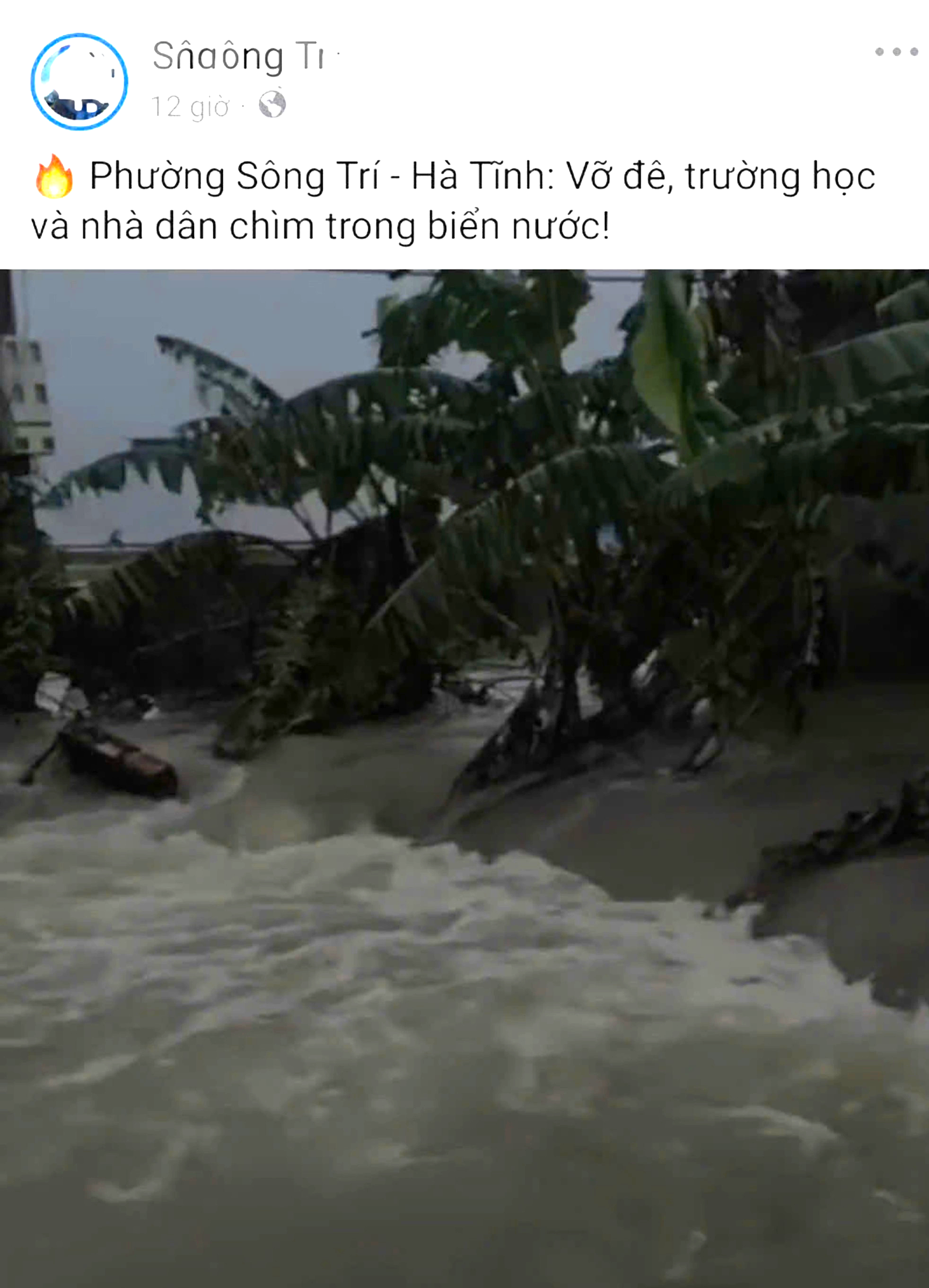 H&agrave; Tĩnh: Phạt 15 triệu đồng người đăng tin giả về vỡ đ&ecirc;- Ảnh 2.