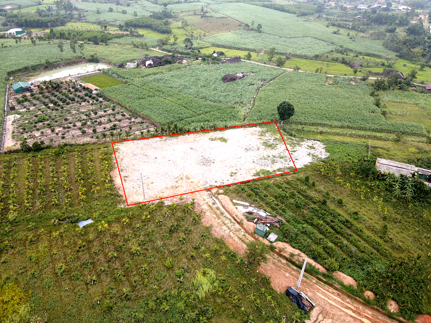 Đắk Lắk: Vì sao xã M’Drắk hủy quyết định chuyển hơn 4.000m² đất rừng?- Ảnh 2.
