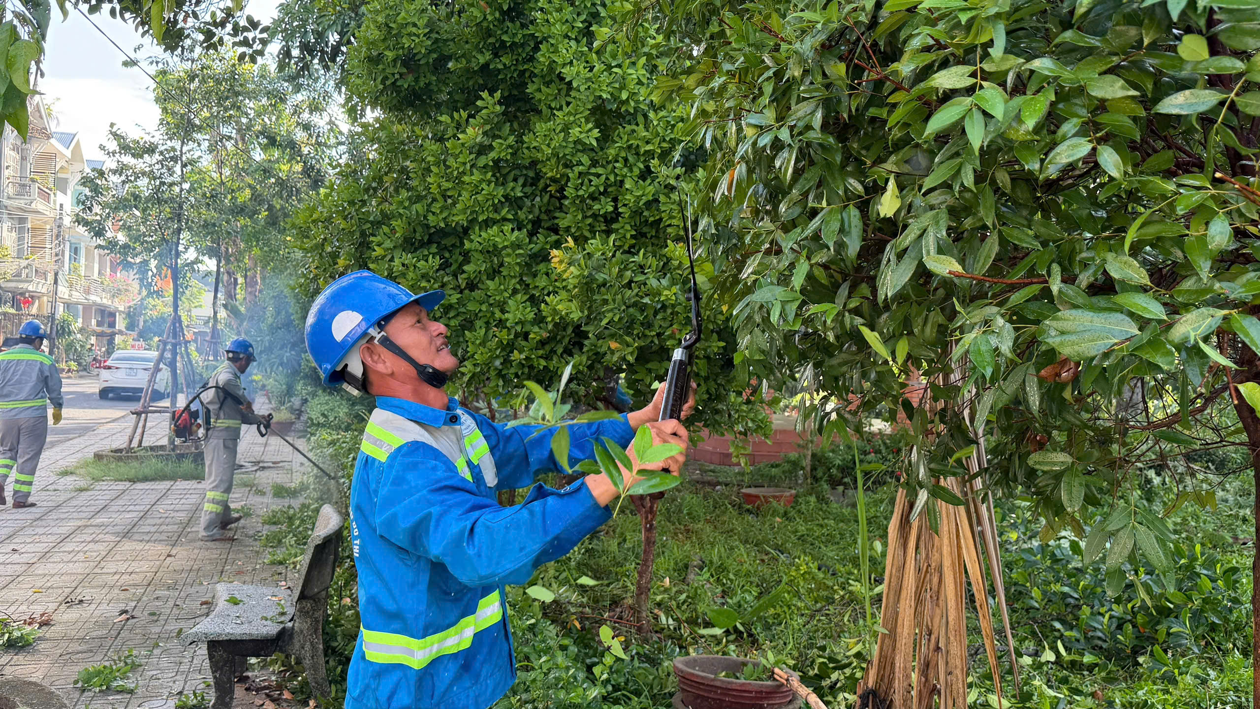 L&agrave;m sạch m&ocirc;i trường, đẹp cảnh quan h&agrave;ng loạt khu d&acirc;n cư ở Quảng Ng&atilde;i- Ảnh 3.