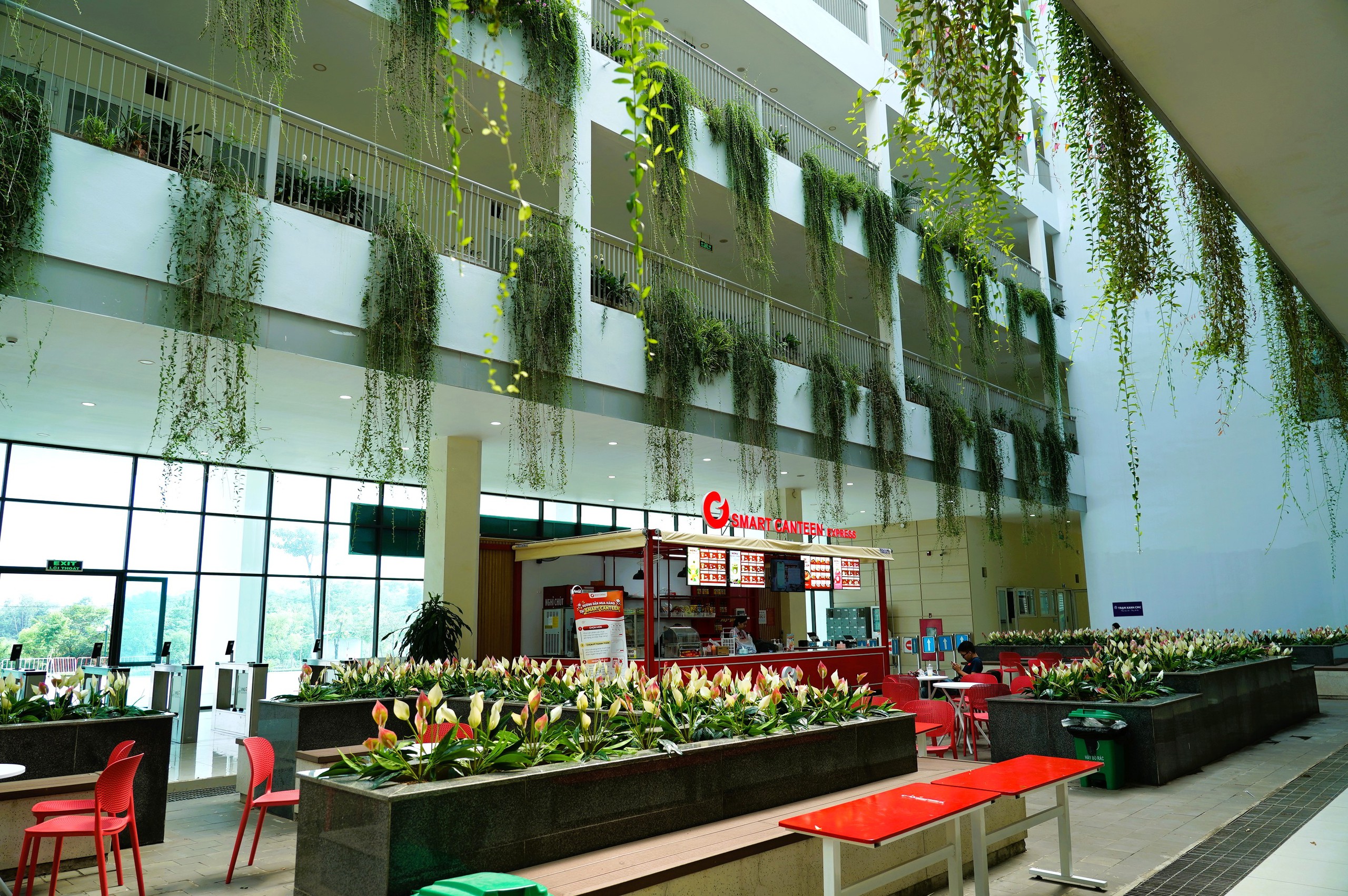 Kh&aacute;m ph&aacute; kh&ocirc;ng gian mới đ&ocirc; thị đại học H&ograve;a Lạc sau 13 năm x&acirc;y dựng- Ảnh 9.