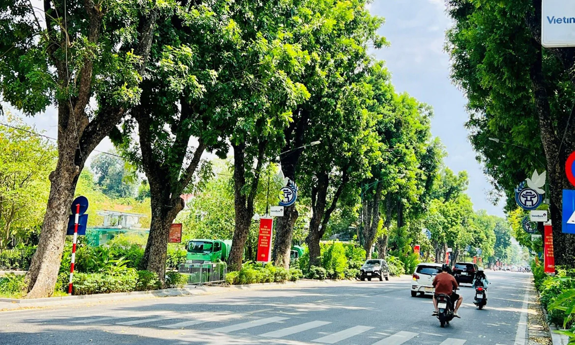 Bộ X&acirc;y dựng ban h&agrave;nh Th&ocirc;ng tư hướng dẫn quản l&yacute; c&acirc;y canh đ&ocirc; thị - Ảnh 2.
