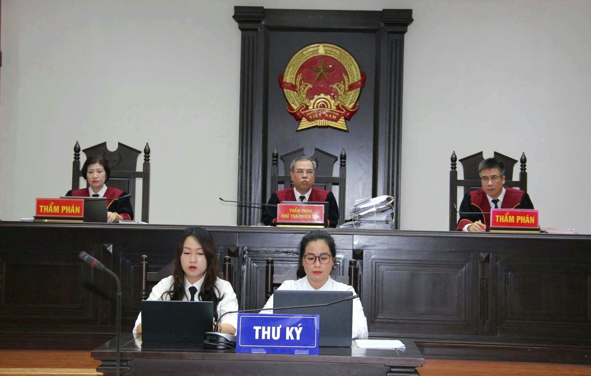 Cựu Bộ trưởng Nguyễn Thị Kim Tiến khắc phục xong 108 tỷ đồng, xin hưởng án treo- Ảnh 2.