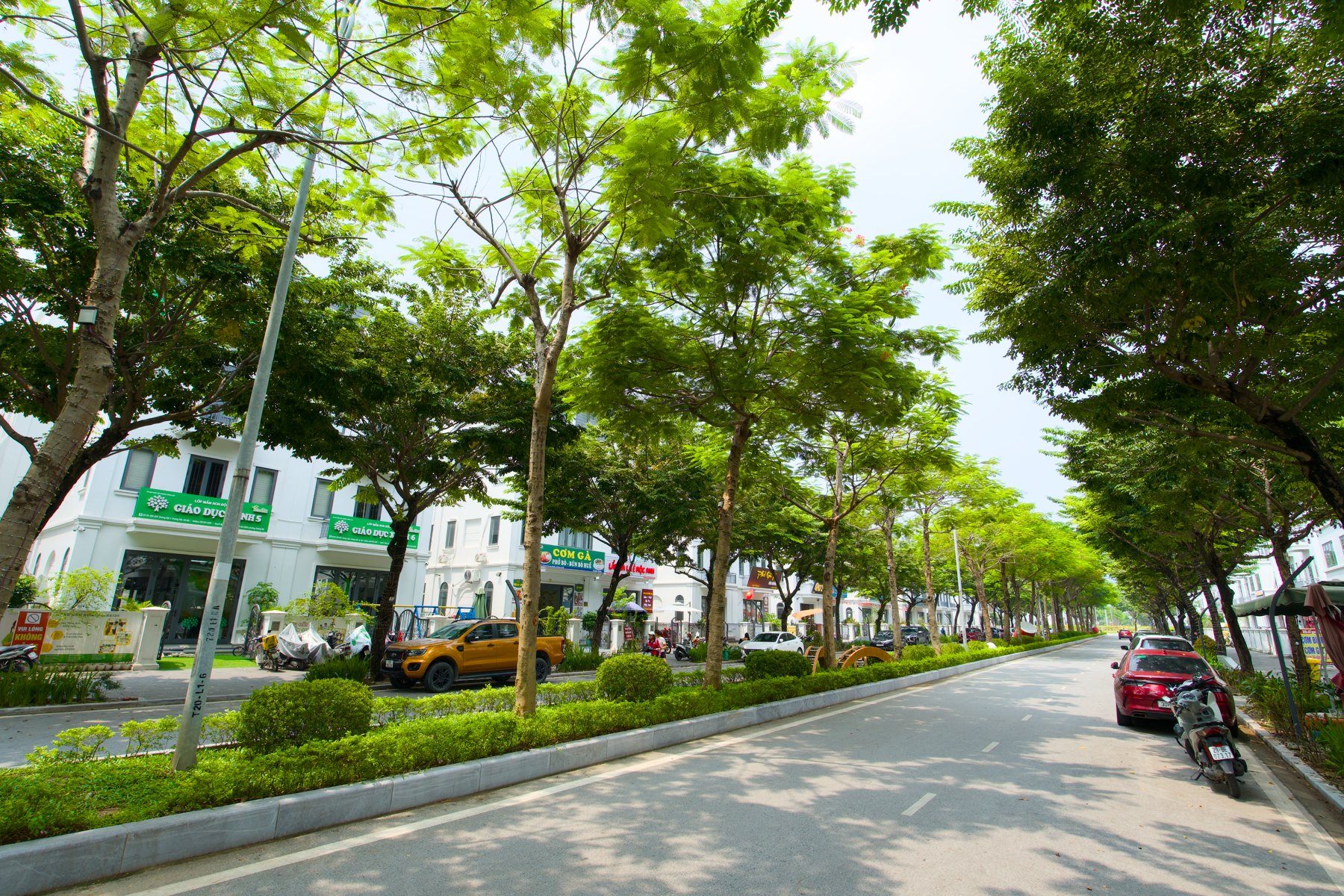D&ograve;ng chảy văn h&oacute;a OCOP lan tỏa nhịp sống cộng đồng tại Khu đ&ocirc; thị Dương Nội- Ảnh 5.
