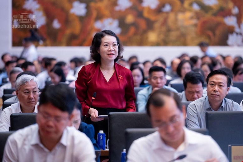 Cân nhắc việc dừng xuất cảnh, cắt điện, nước trong xử phạt vi phạm hành chính - Ảnh 4.