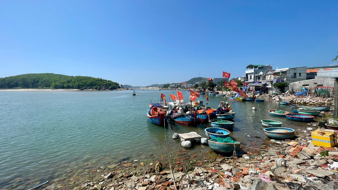 Quảng Ng&atilde;i t&igrave;m nơi đổ thải hơn 400 ngh&igrave;n m3 c&aacute;t, vật chất sau nạo v&eacute;t cảng Sa Huỳnh- Ảnh 3.