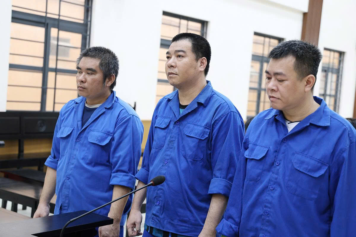 An Giang: 3 bị c&aacute;o l&atilde;nh 34 năm t&ugrave; v&igrave; cướp 54 tấn c&aacute; tra để cấn trừ tiền nợ- Ảnh 1.