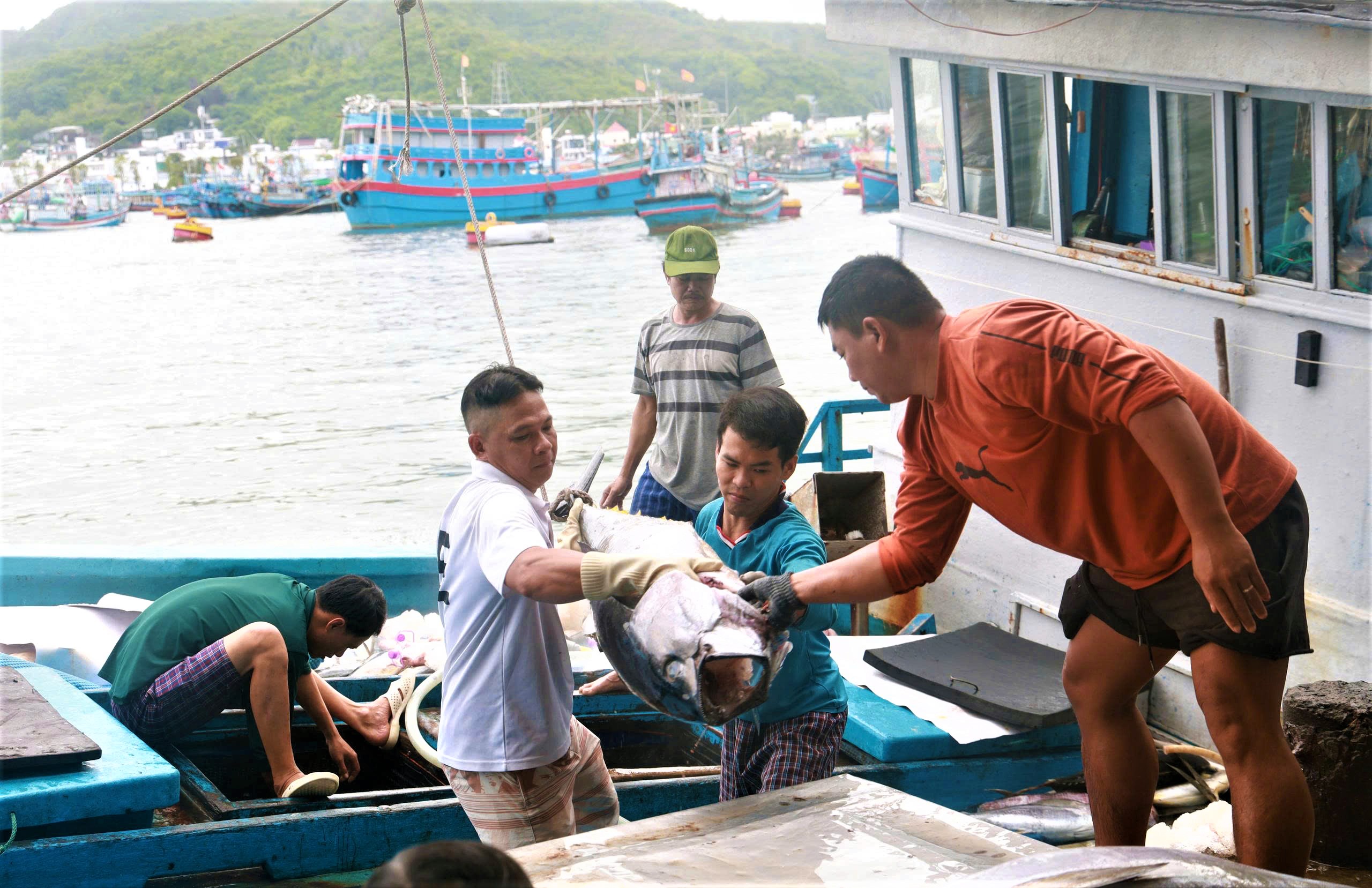 Gần 2 năm nay, Kh&aacute;nh H&ograve;a kh&ocirc;ng c&oacute; t&agrave;u c&aacute; vi phạm khai th&aacute;c ở v&ugrave;ng biển nước ngo&agrave;i- Ảnh 2.