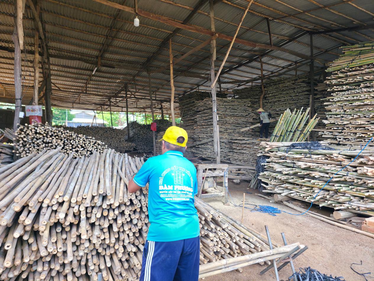 Tre tầm v&ocirc;ng - một lựa chọn trong kiến tr&uacute;c, x&acirc;y dựng- Ảnh 1.