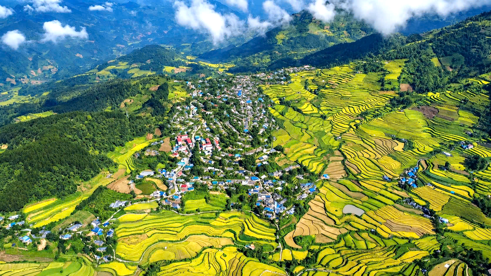 Ngắm nh&igrave;n m&ugrave;a v&agrave;ng tr&ecirc;n ruộng bậc thang Tả L&egrave;ng ở Lai Ch&acirc;u- Ảnh 2.