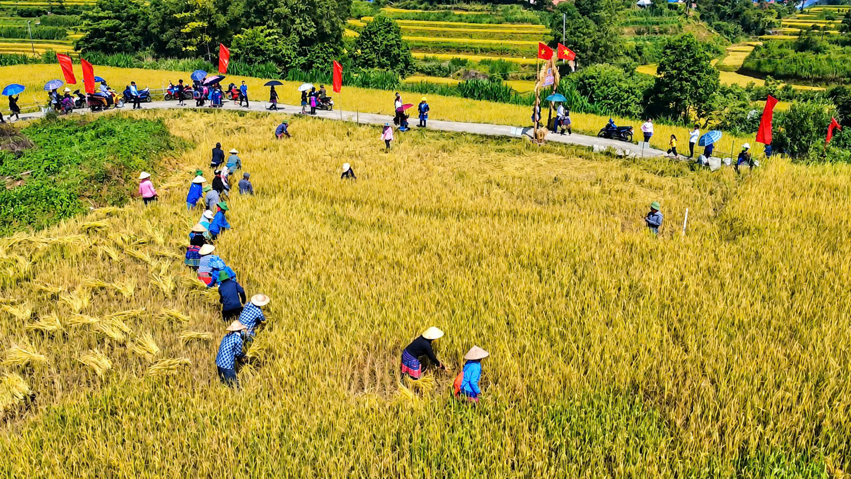 Ngắm nh&igrave;n m&ugrave;a v&agrave;ng tr&ecirc;n ruộng bậc thang Tả L&egrave;ng ở Lai Ch&acirc;u- Ảnh 8.