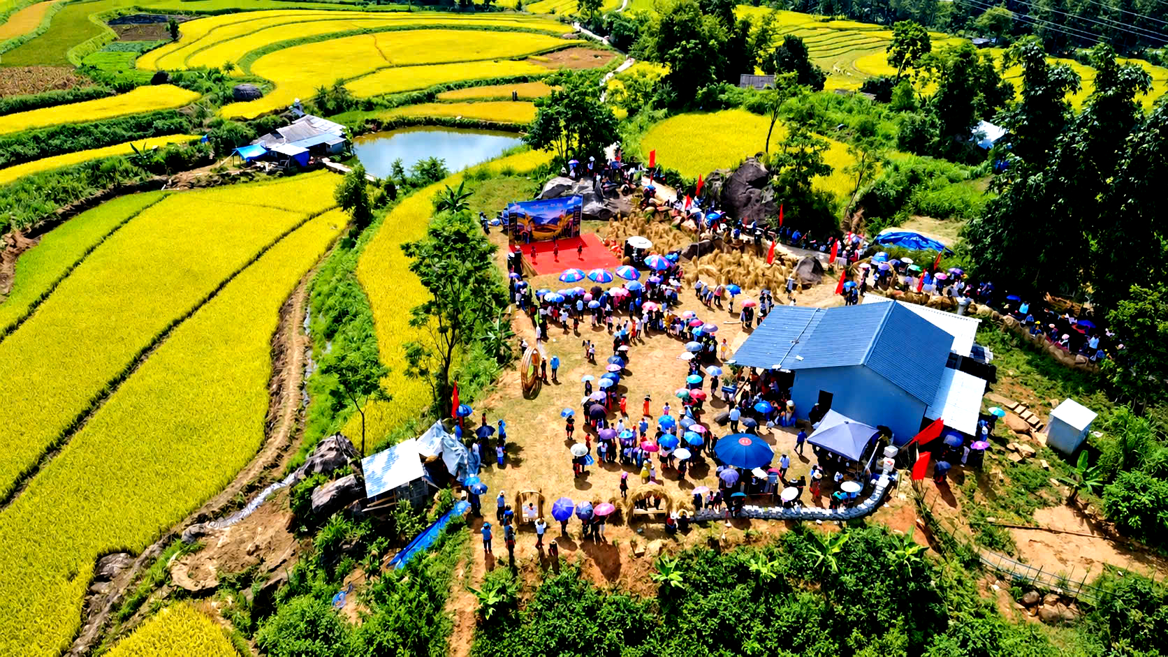 Ngắm nh&igrave;n m&ugrave;a v&agrave;ng tr&ecirc;n ruộng bậc thang Tả L&egrave;ng ở Lai Ch&acirc;u- Ảnh 5.