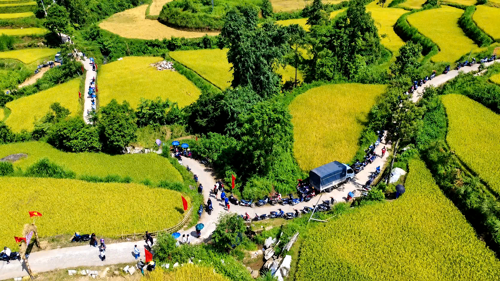 Ngắm nh&igrave;n m&ugrave;a v&agrave;ng tr&ecirc;n ruộng bậc thang Tả L&egrave;ng ở Lai Ch&acirc;u- Ảnh 4.