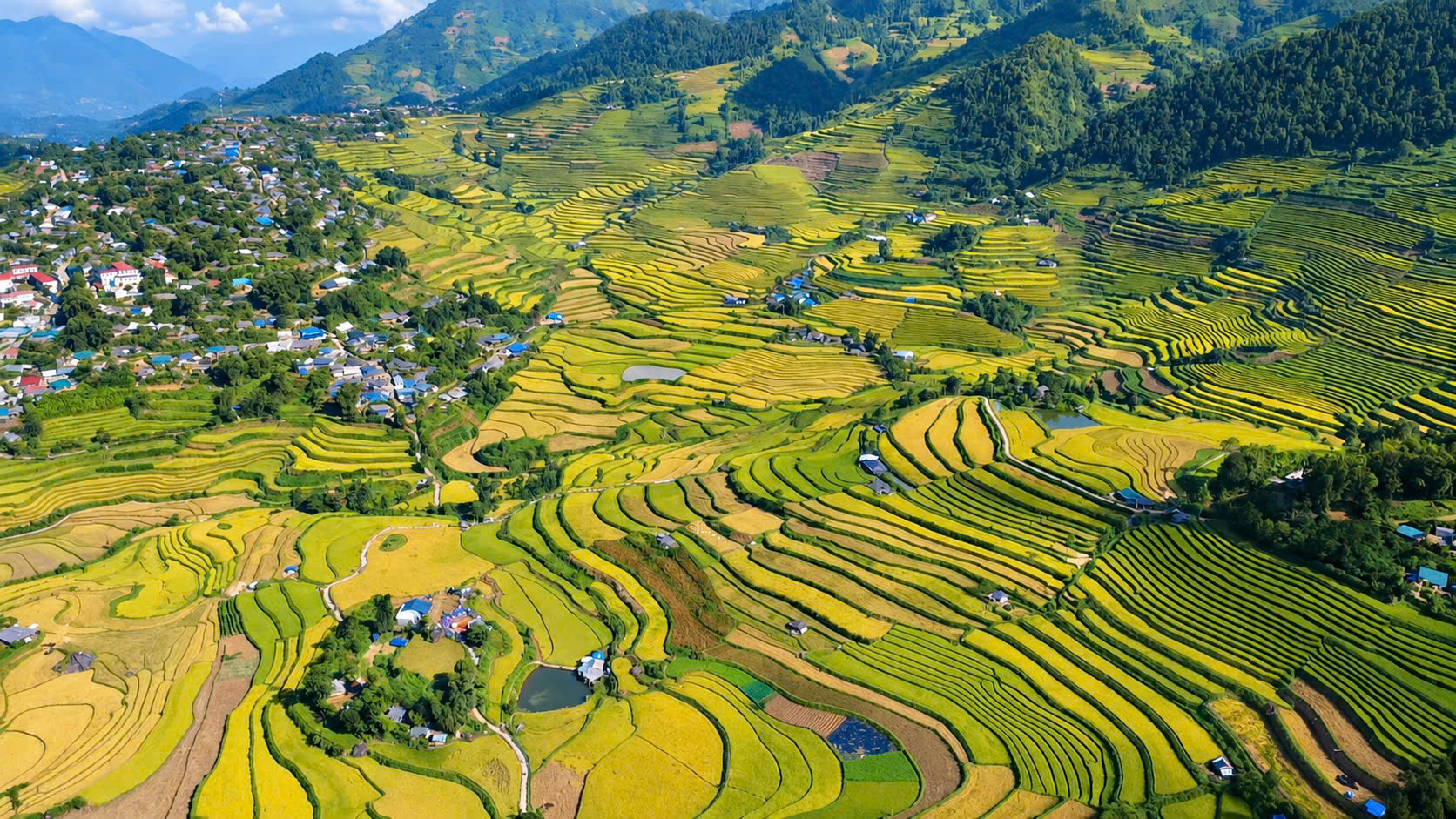 Ngắm nh&igrave;n m&ugrave;a v&agrave;ng tr&ecirc;n ruộng bậc thang Tả L&egrave;ng ở Lai Ch&acirc;u- Ảnh 12.