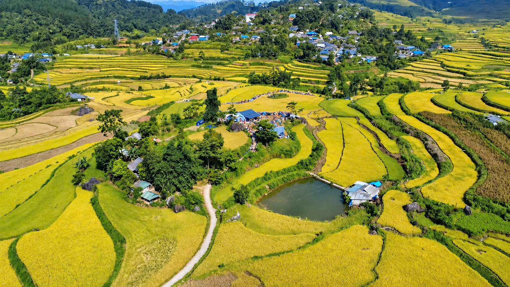 Ngắm nh&igrave;n m&ugrave;a v&agrave;ng tr&ecirc;n ruộng bậc thang Tả L&egrave;ng ở Lai Ch&acirc;u- Ảnh 13.