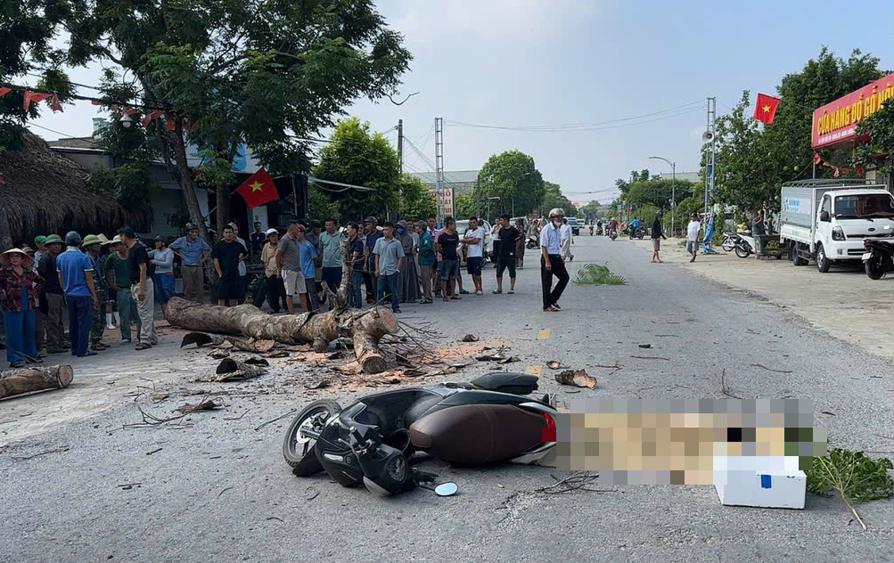 Vụ cưa c&acirc;y khiến một người đi đường tử vong, ai chịu tr&aacute;ch nhiệm h&igrave;nh sự?- Ảnh 1.