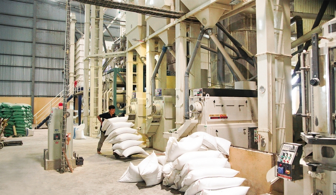 D&acirc;y chuyền b&oacute;c vỏ trấu, lọc sạn, x&aacute;t trắng... kh&eacute;p